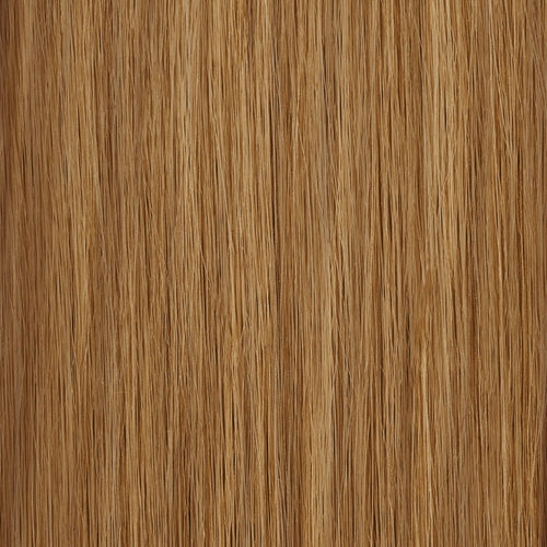 12_26T|color:#12/26T