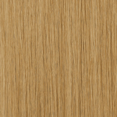 23A_26|color:#23A/26