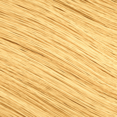 23_78623a1c-91a5-429c-814f-1ff24166f6f6|color:23