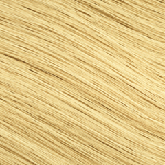 24_8f3be9a9-12ab-46ec-8182-97917927131d|color:24