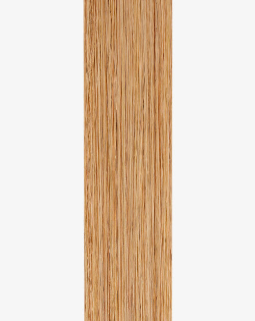 hairtalk extensions col. 20