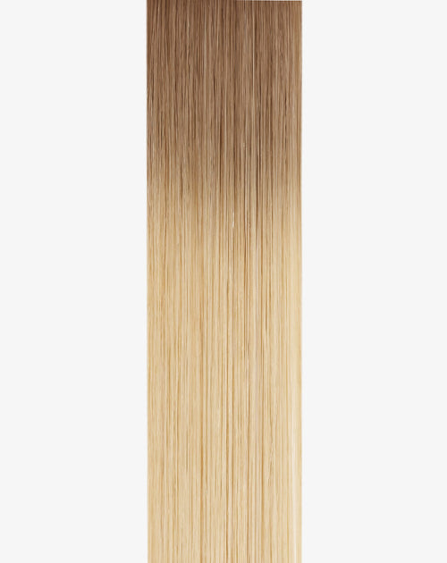 hairtalk extensions col. 25/8R