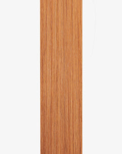 hairtalk extensions col. copper