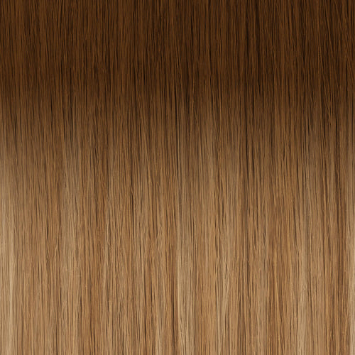 SAND_ROOTED|color:#sand rooted