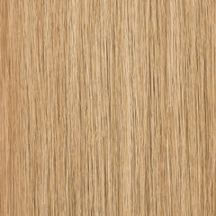 SPRING_HONEY|color:#spring honey