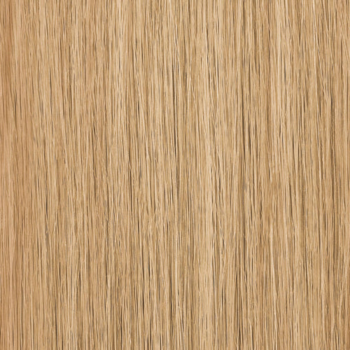 SPRING_HONEY|color:#spring honey