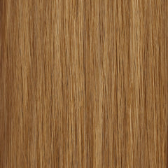 12_26T|color:#12/26T