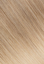 color Midnight Ice Blonde 8C 60 Balayage