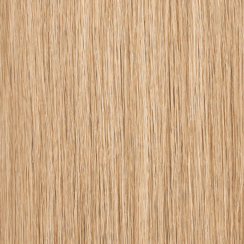 VANILLA|color:#vanilla